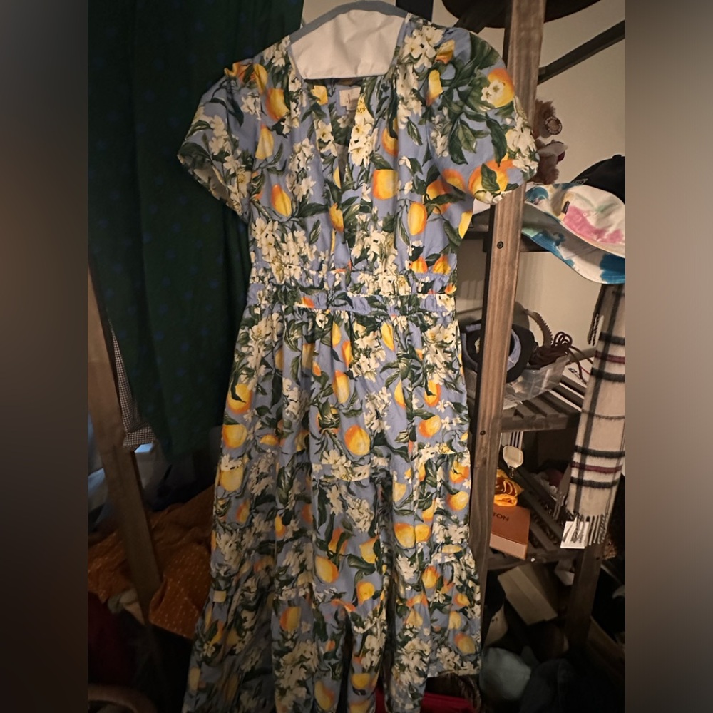Anthropologie Somerset Dress